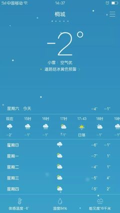 桐城天气预报(桐城天气预报天气30天)