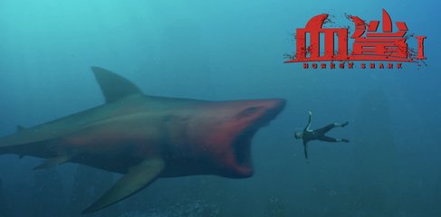 悉尼鲨鱼的复仇小游戏攻略(鲨鱼复仇记下载)
